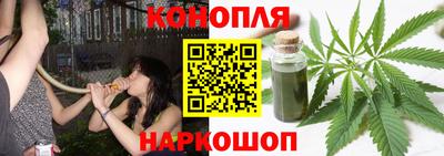 шишки Пыть-Ях