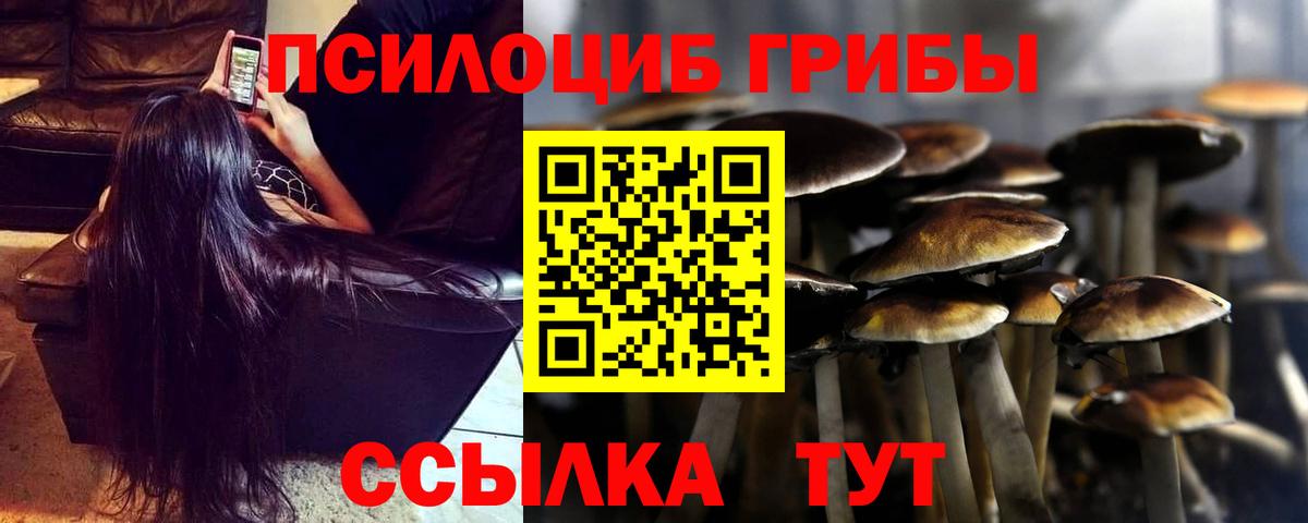 Тольятти  Псилоцибиновые грибы ЛСД  Псилоцибиновые грибы Psilocybe  Вход с VPN 